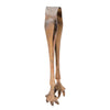 Vintage Etched Talon Claw Ice Tongs | The Hour Shop