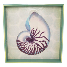 Nautilus Shell Lacquer Tray | The Hour Shop