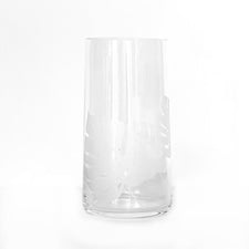The Modern Home Bar Etched Philodendron Highball Glass